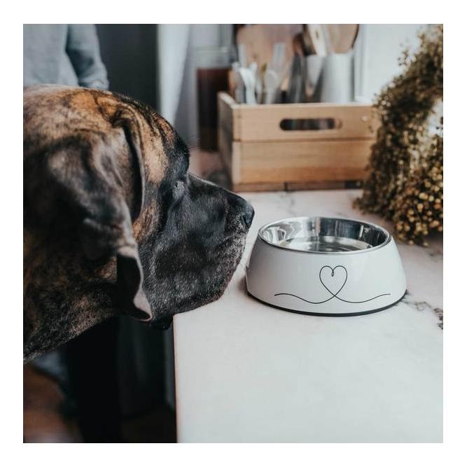 Melamin-Napf - Valencia