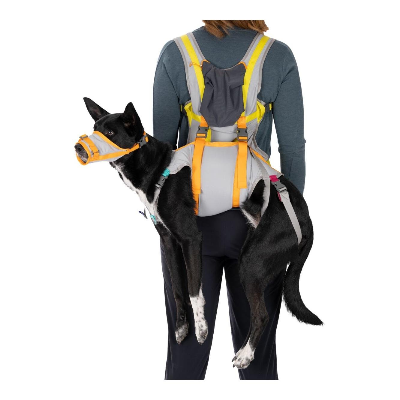 Hundenotfall-Set BackTrak Dog Evacuation Kit