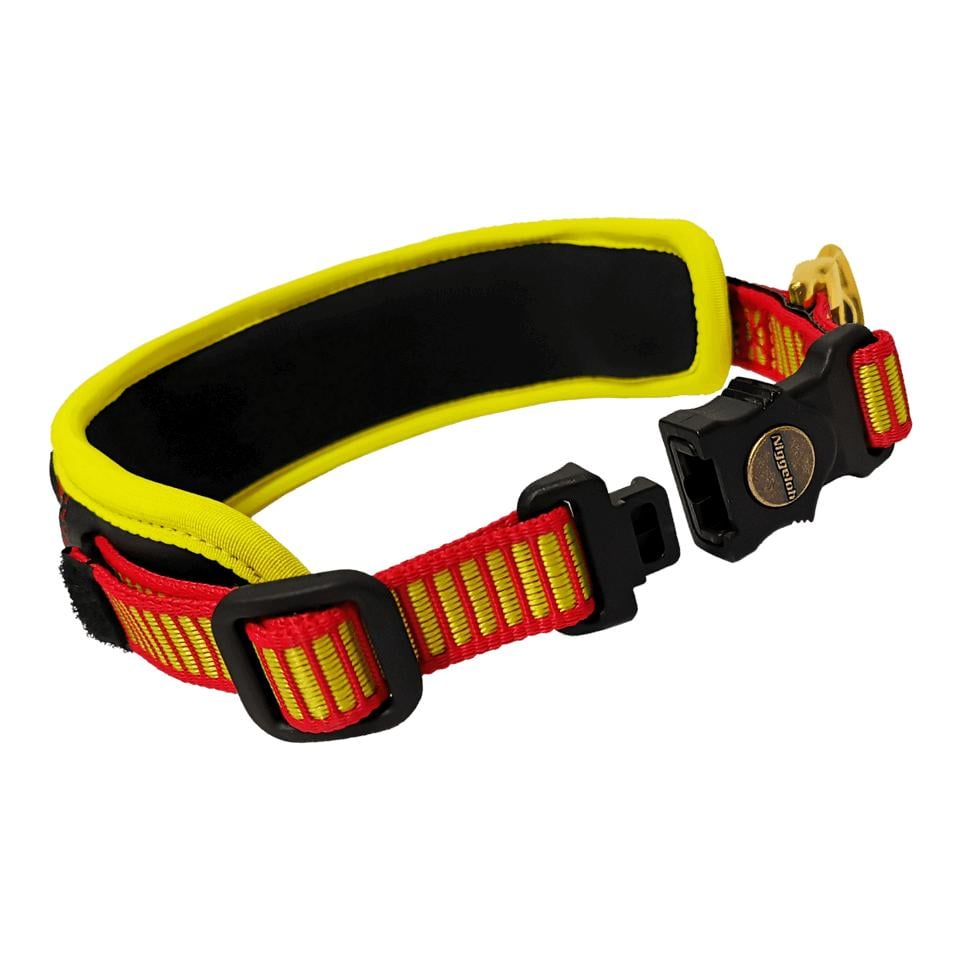 Schweisshalsung Trail