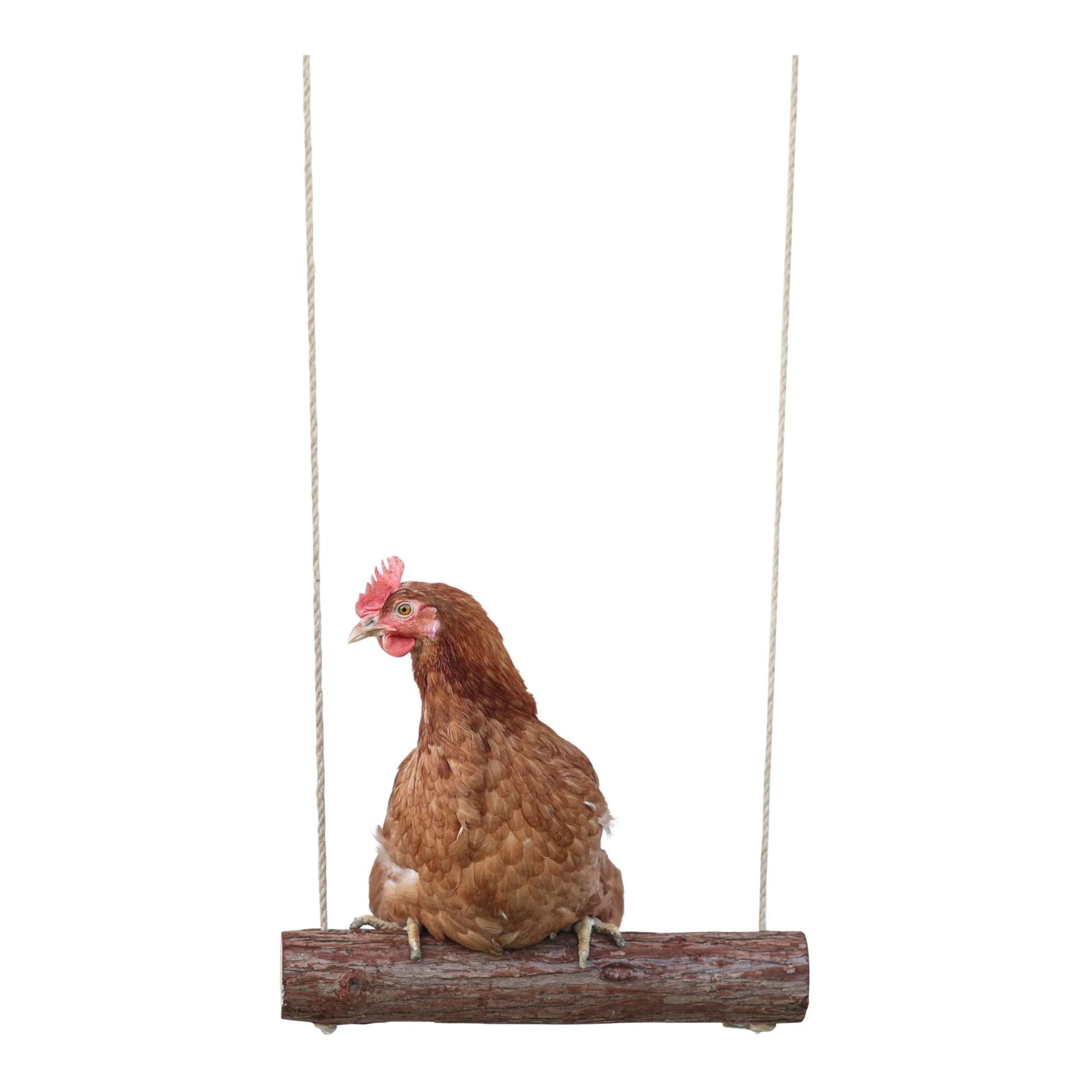 Kerbl Hobbyfarming Hühnerschaukel