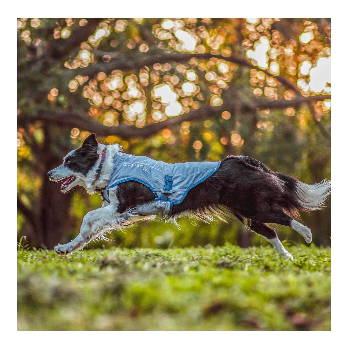 Kurgo Kühlweste für Hunde