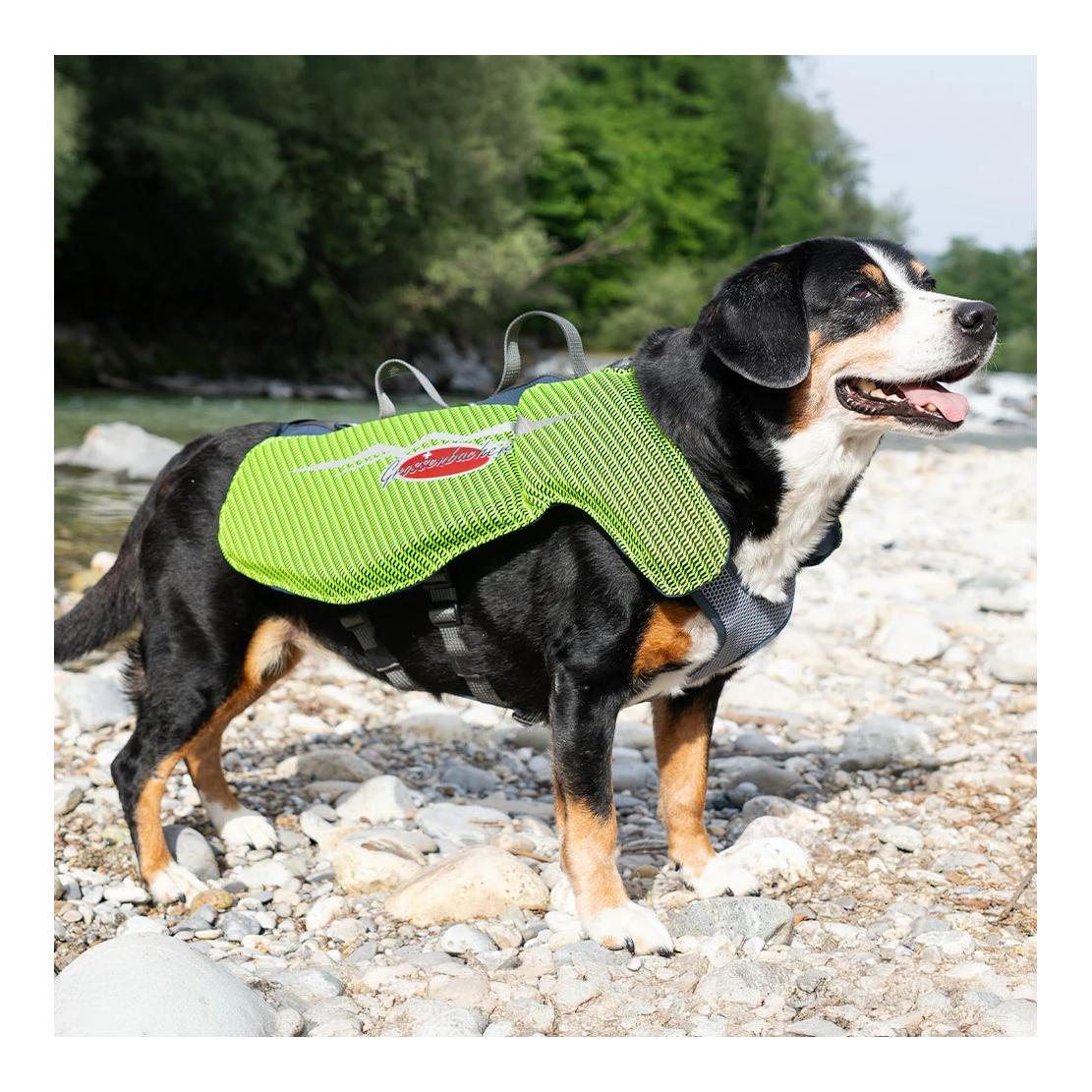 Beat Grossenbacher Gilet de sauvetage pour chiens