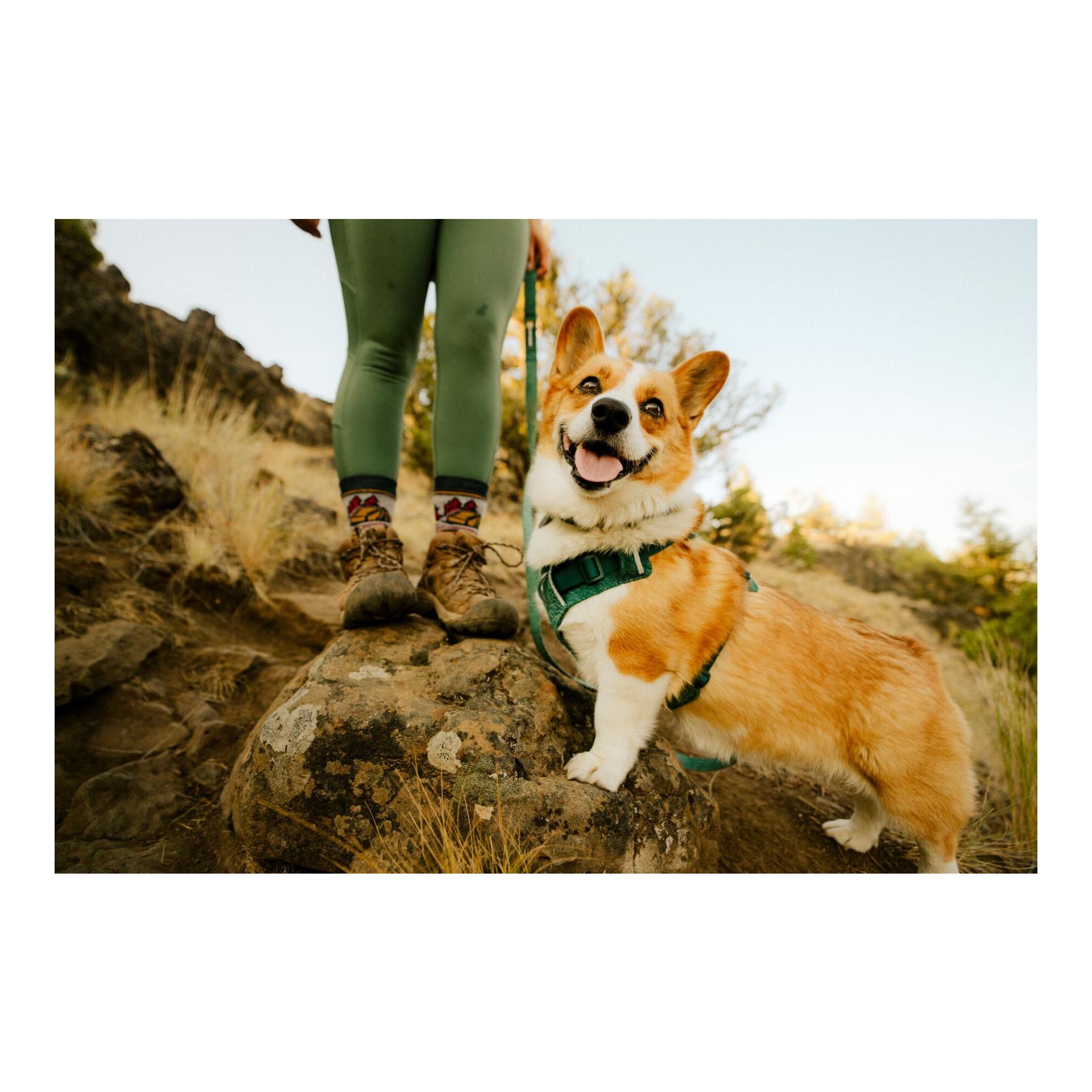 Ruffwear Front Range® Flex Hundegeschirr