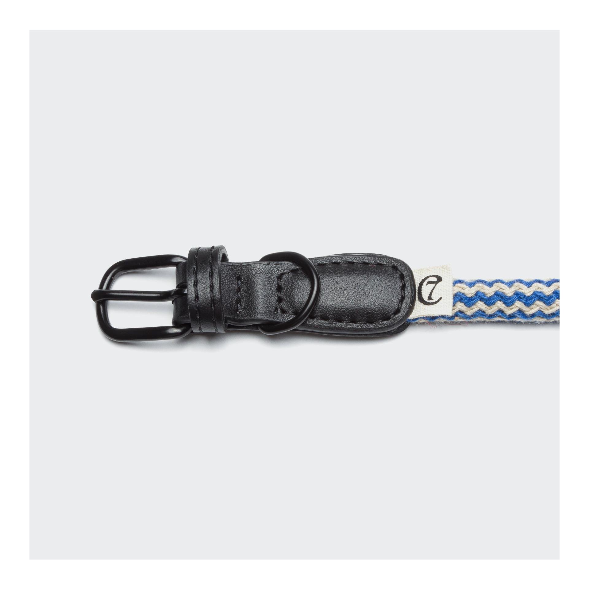 Hundehalsband Mauerpark