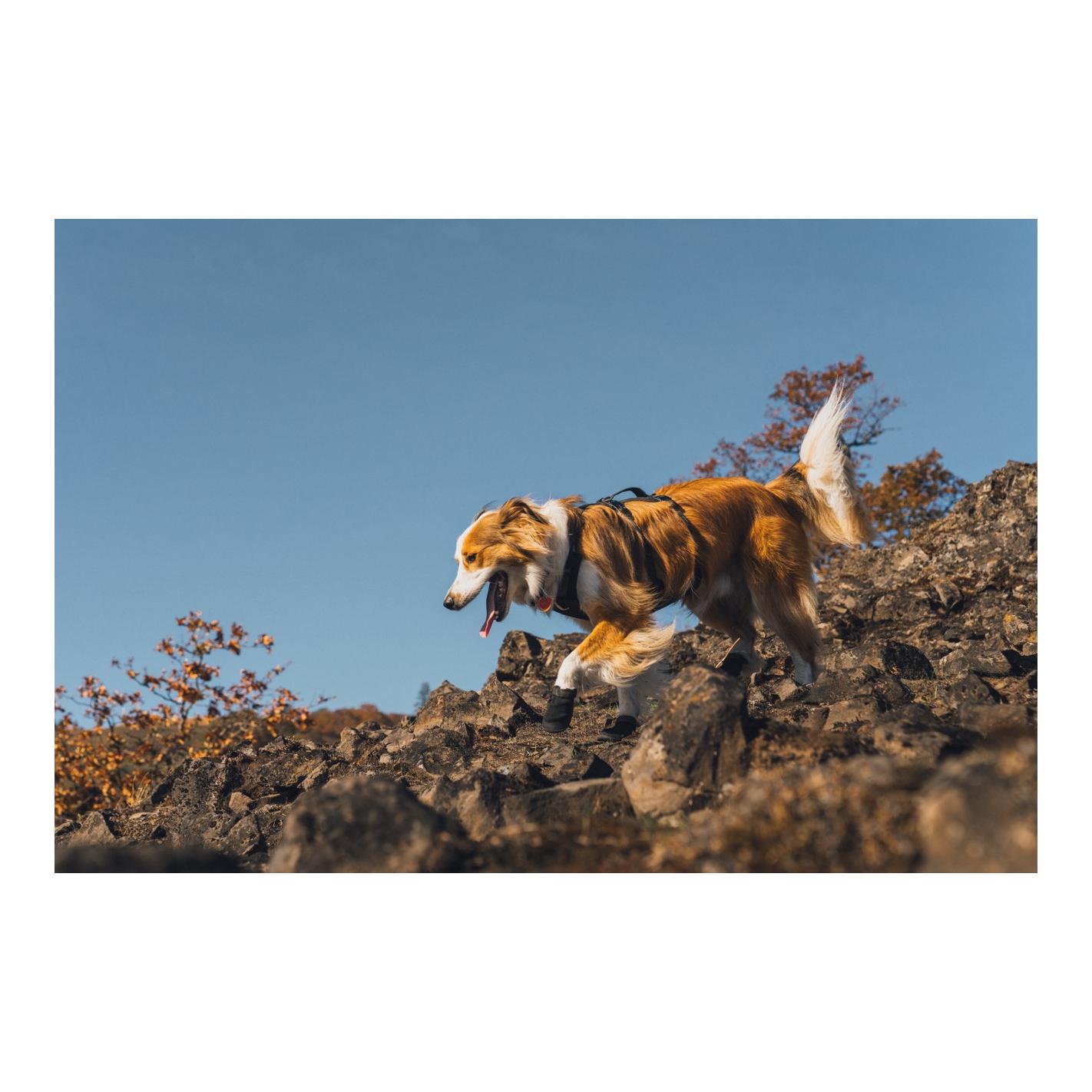 Ruffwear Ridgeline™ Hundeschuhe