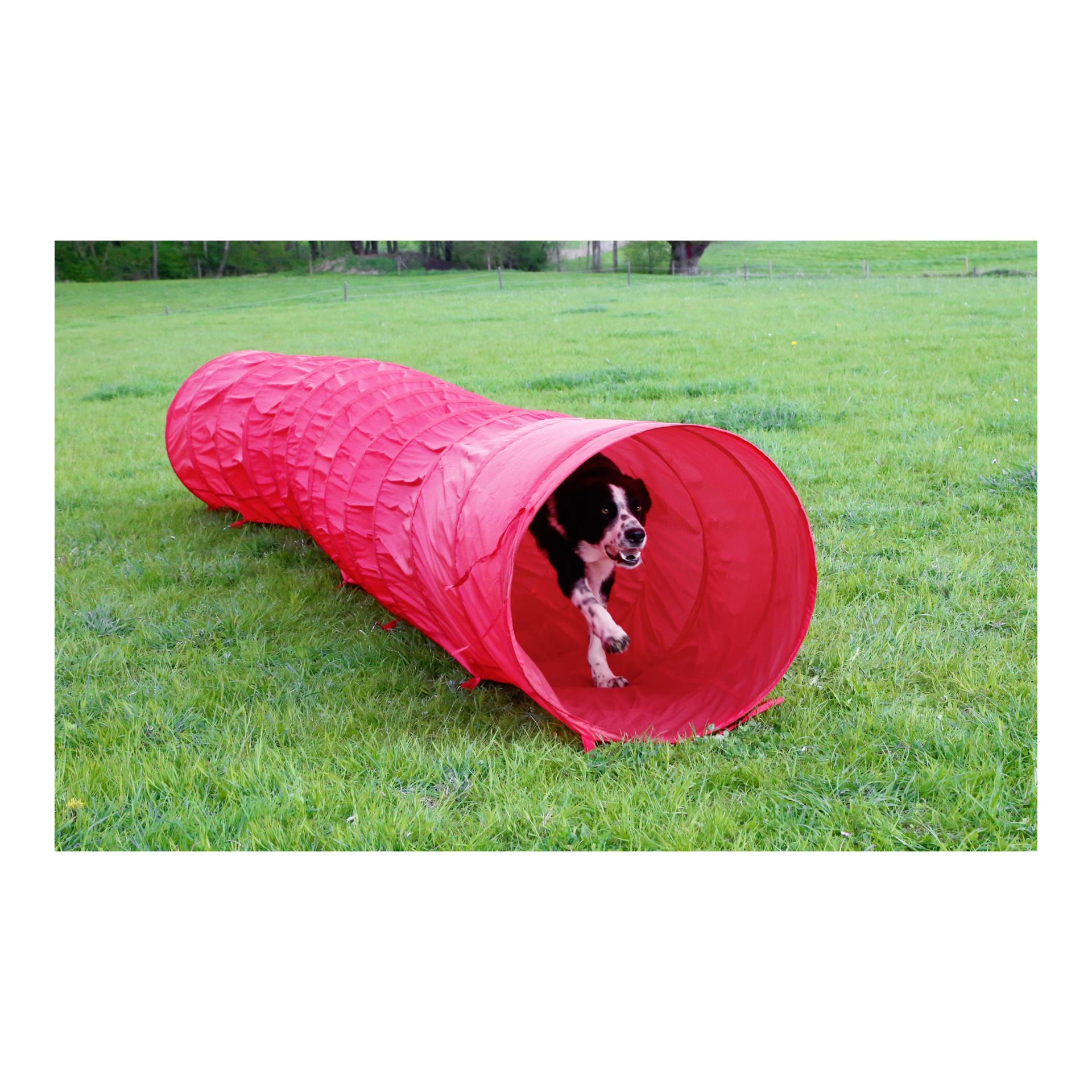Agility Hundetunnel 5m - rot