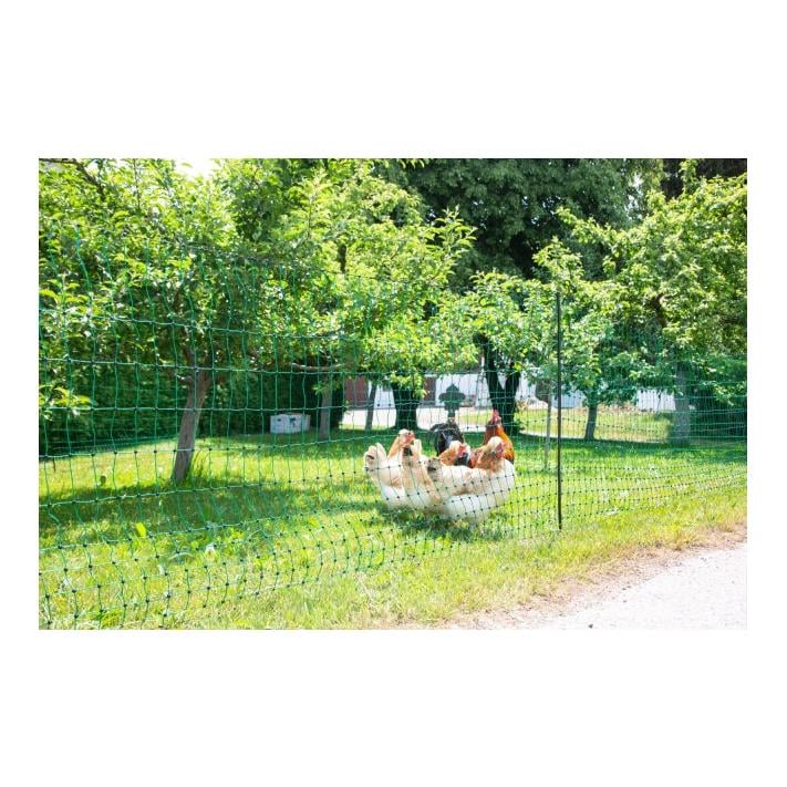 Geflügelnetz PoultryNet - Doppelspitz