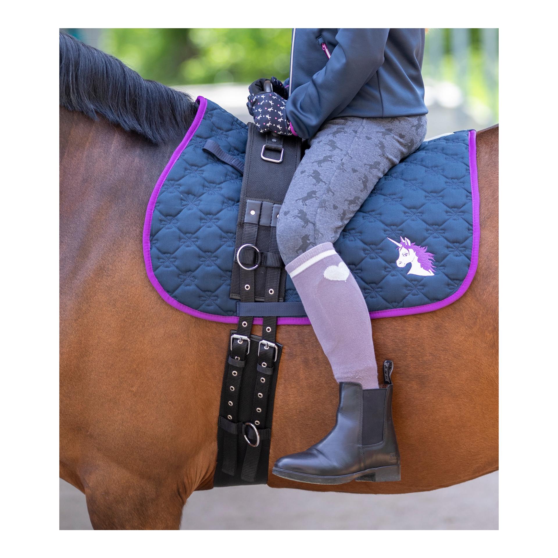 Longiergurt mit Handgriff