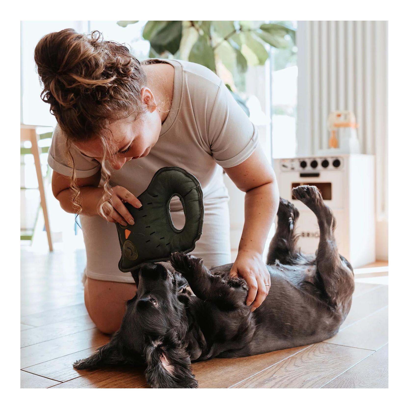 Hundespielzeug Tough Tundra Eule