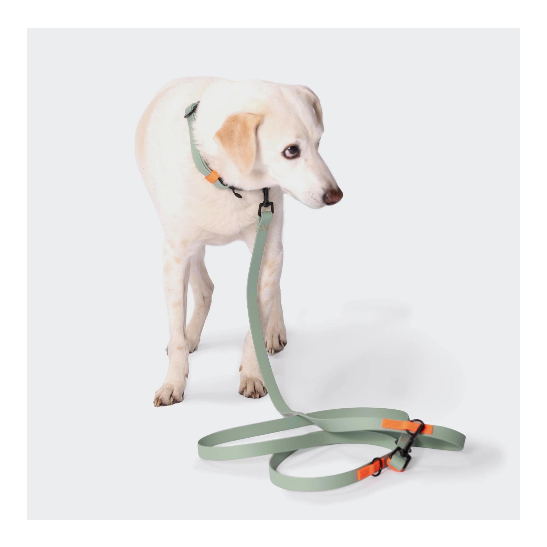 Freihandleine BioThane Ipanema - mint