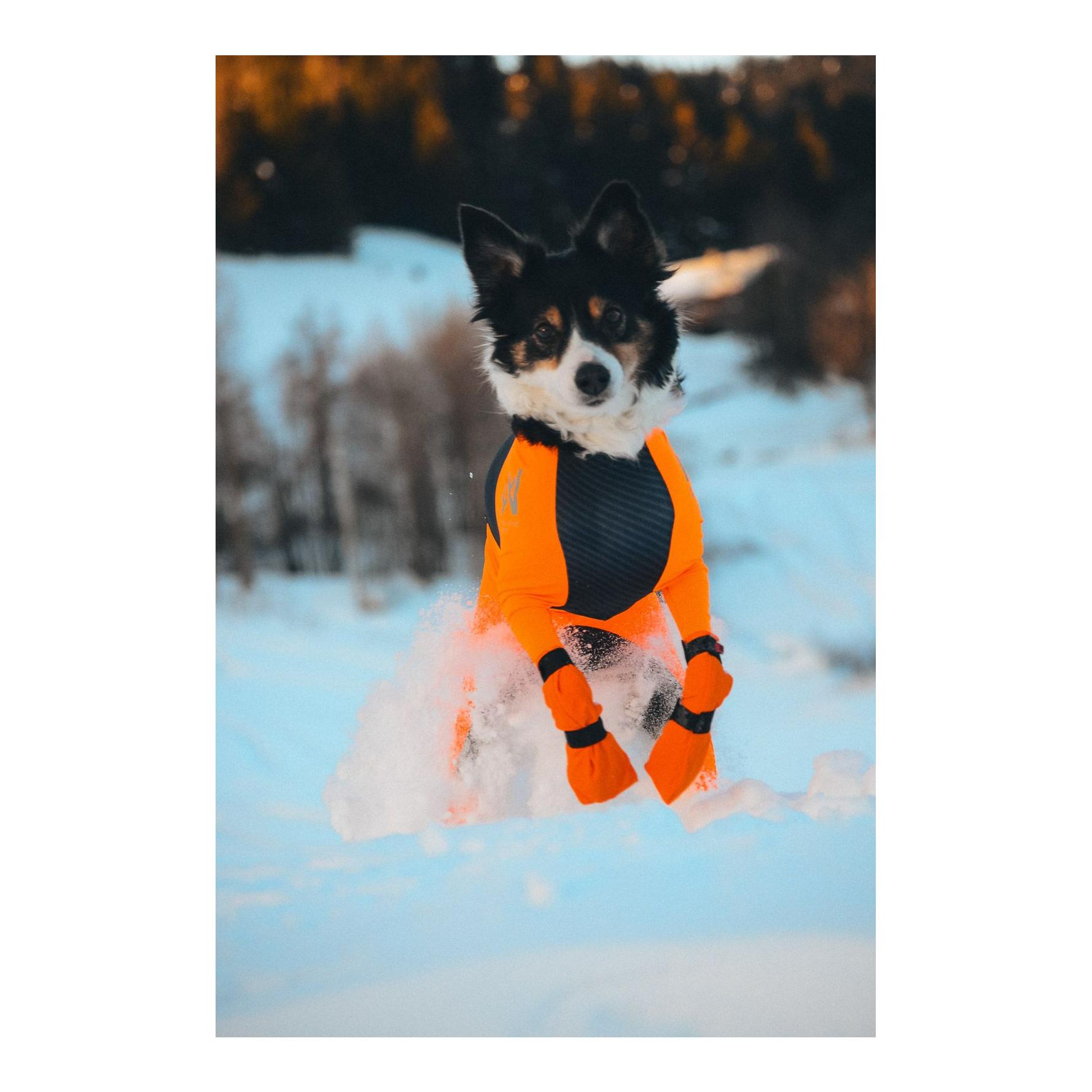 Contact Bootie High Hundeschuhe