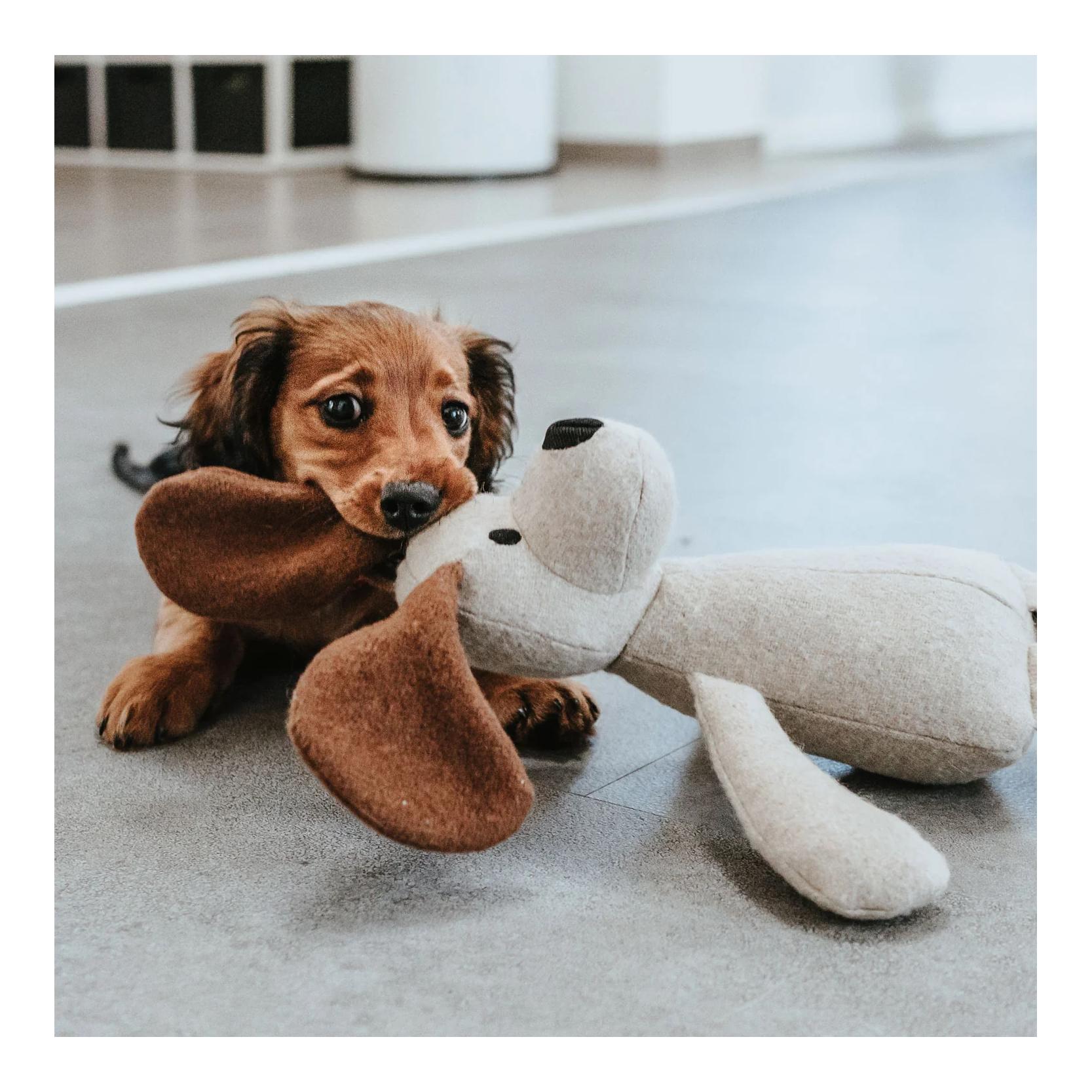 Hundespielzeug Marle Hund