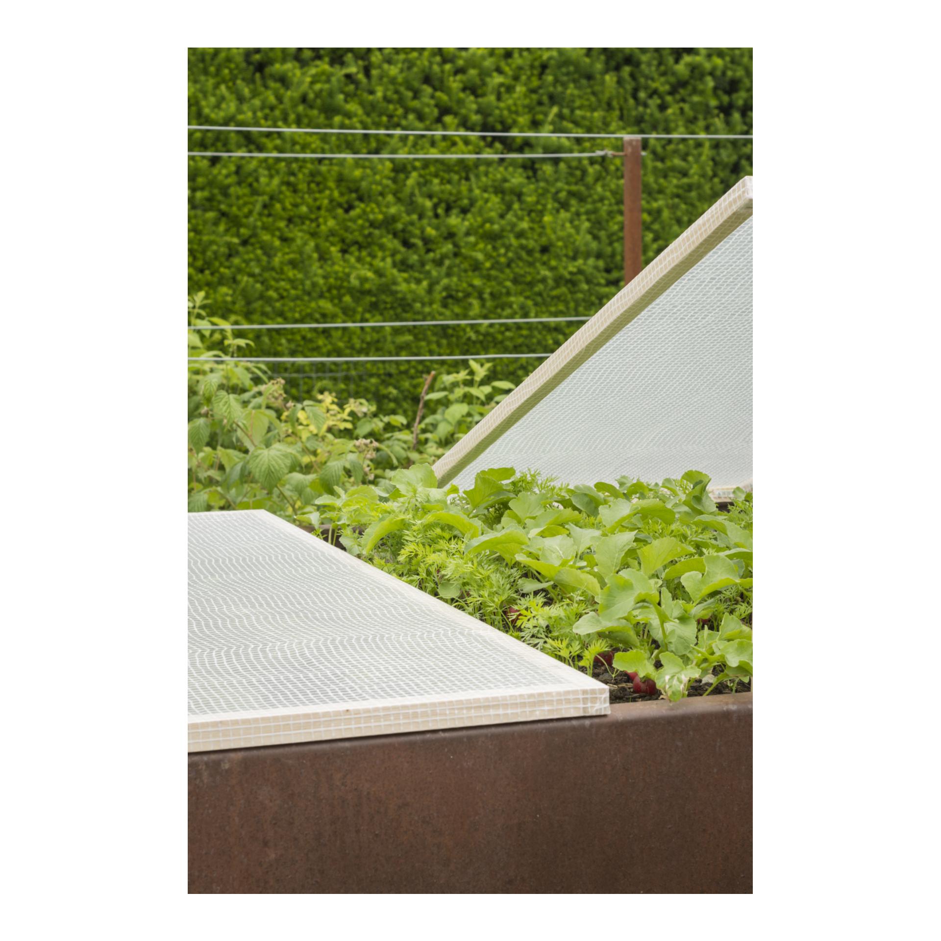 Windhager Film grillagé standard