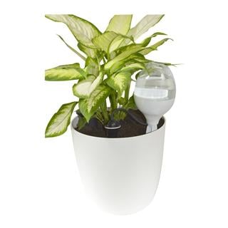 Wassertank mit Tropfer