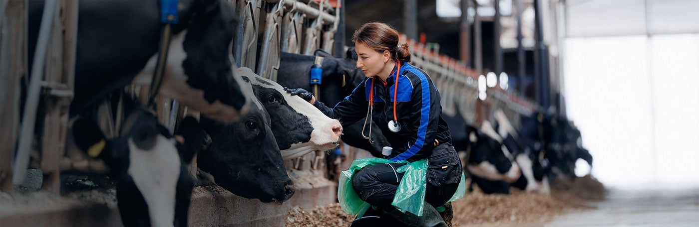 Hauptner-VET-Grosstierpraxis