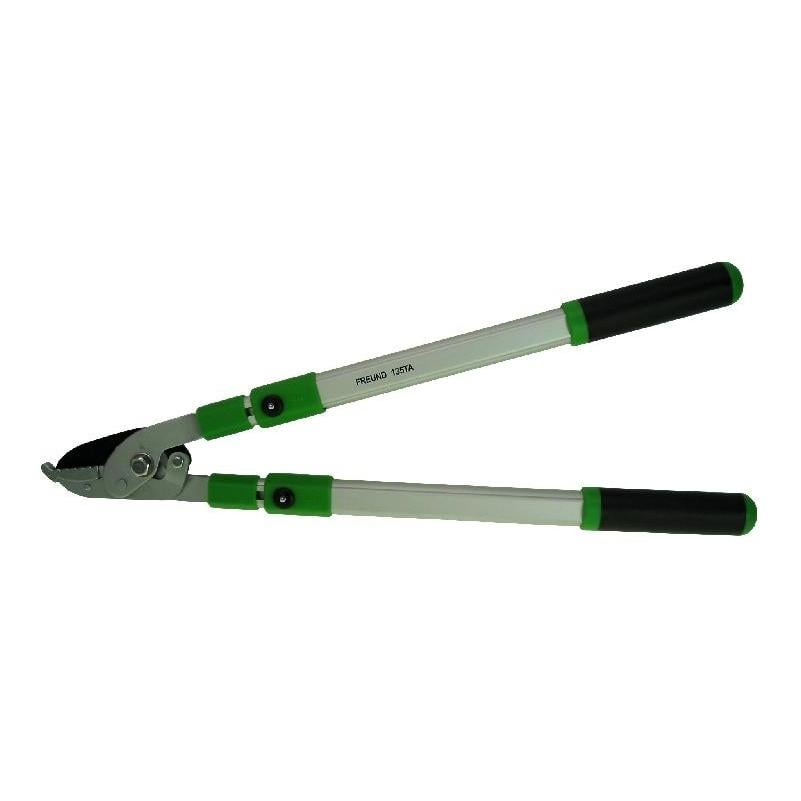 Image of Hawe Astschere - Silber/Grün - bei Hauptner.ch