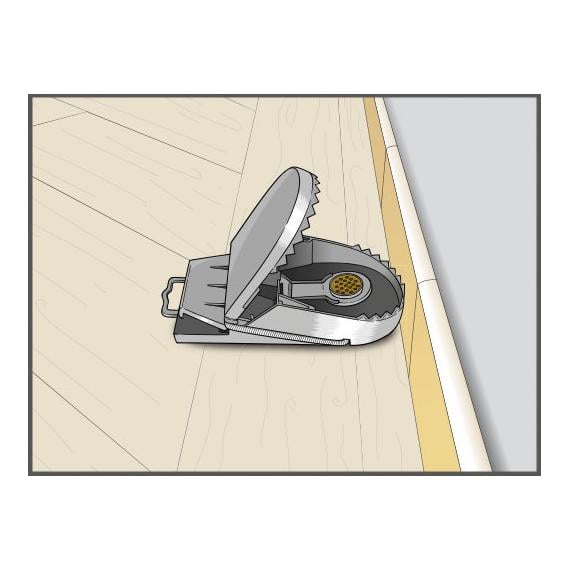 Rattenfalle Supercat - mit Köder