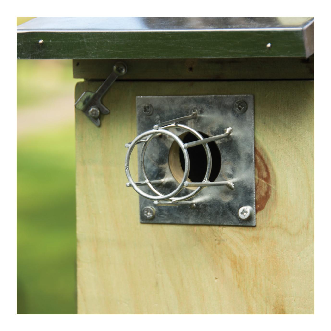 Eichhörnchen/Marder Schutz