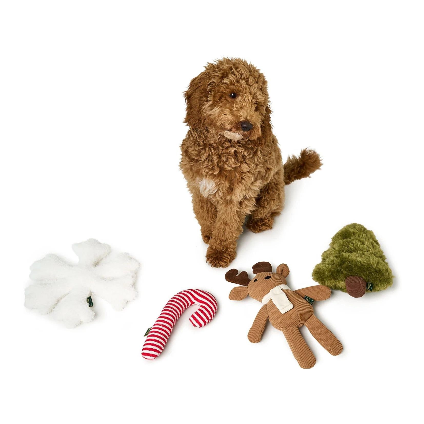 Hundespielzeug Sitka Zuckerstange