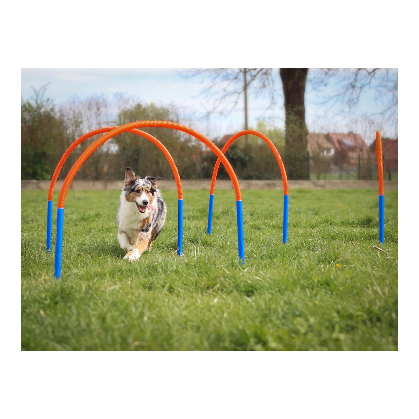 Starter Training Set für Hunde