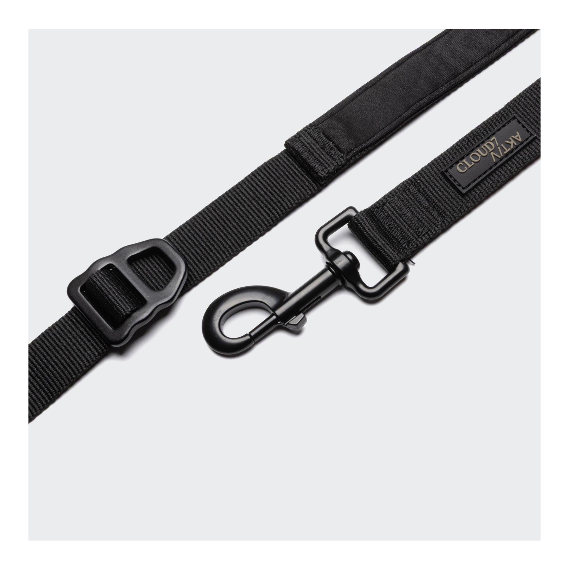 L-2 Laisse de jogging pour chien