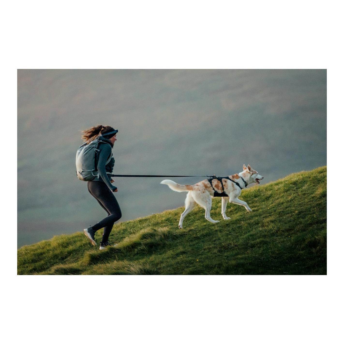 Ruffwear Ridgeline™ Hundeleine