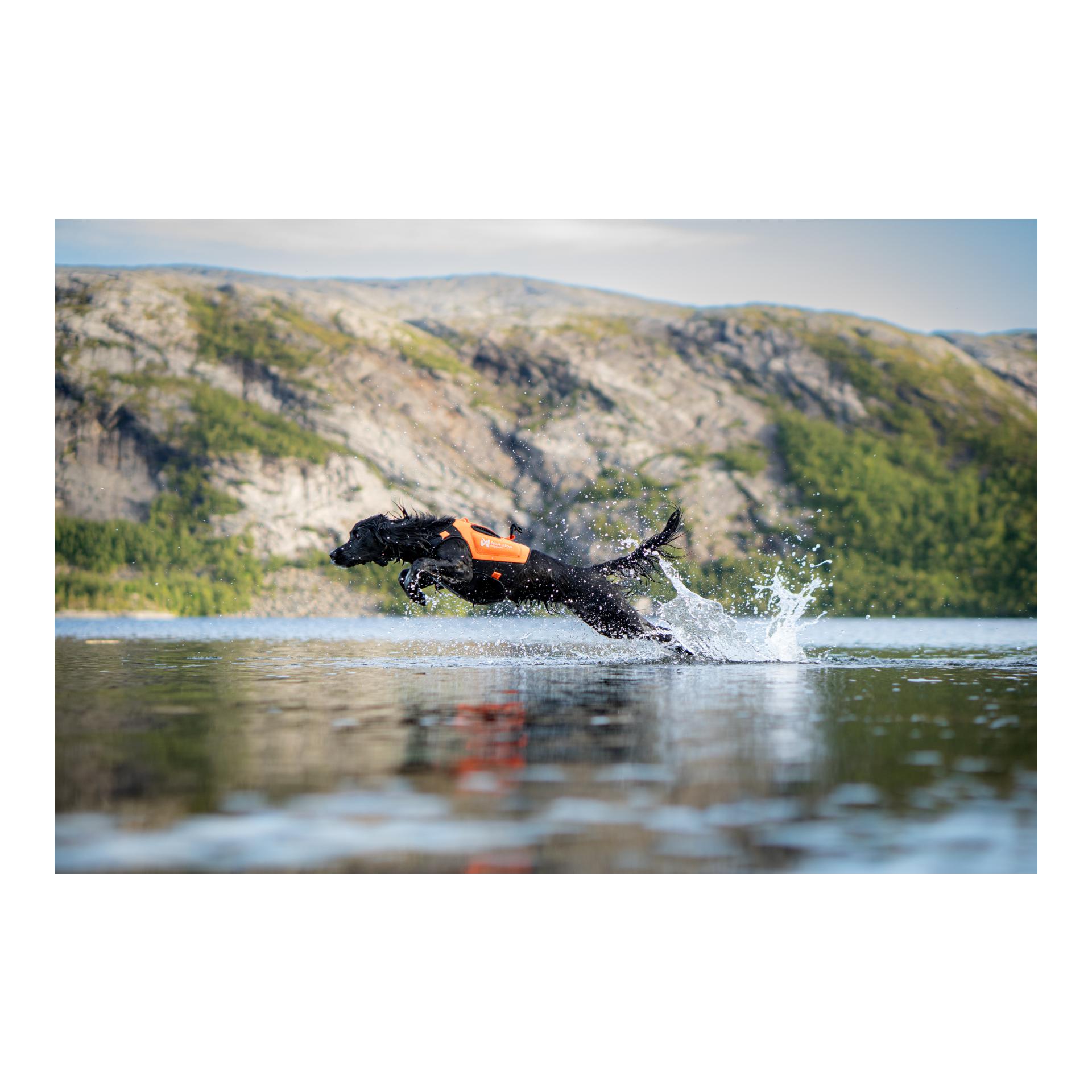 Protector neoprene vest