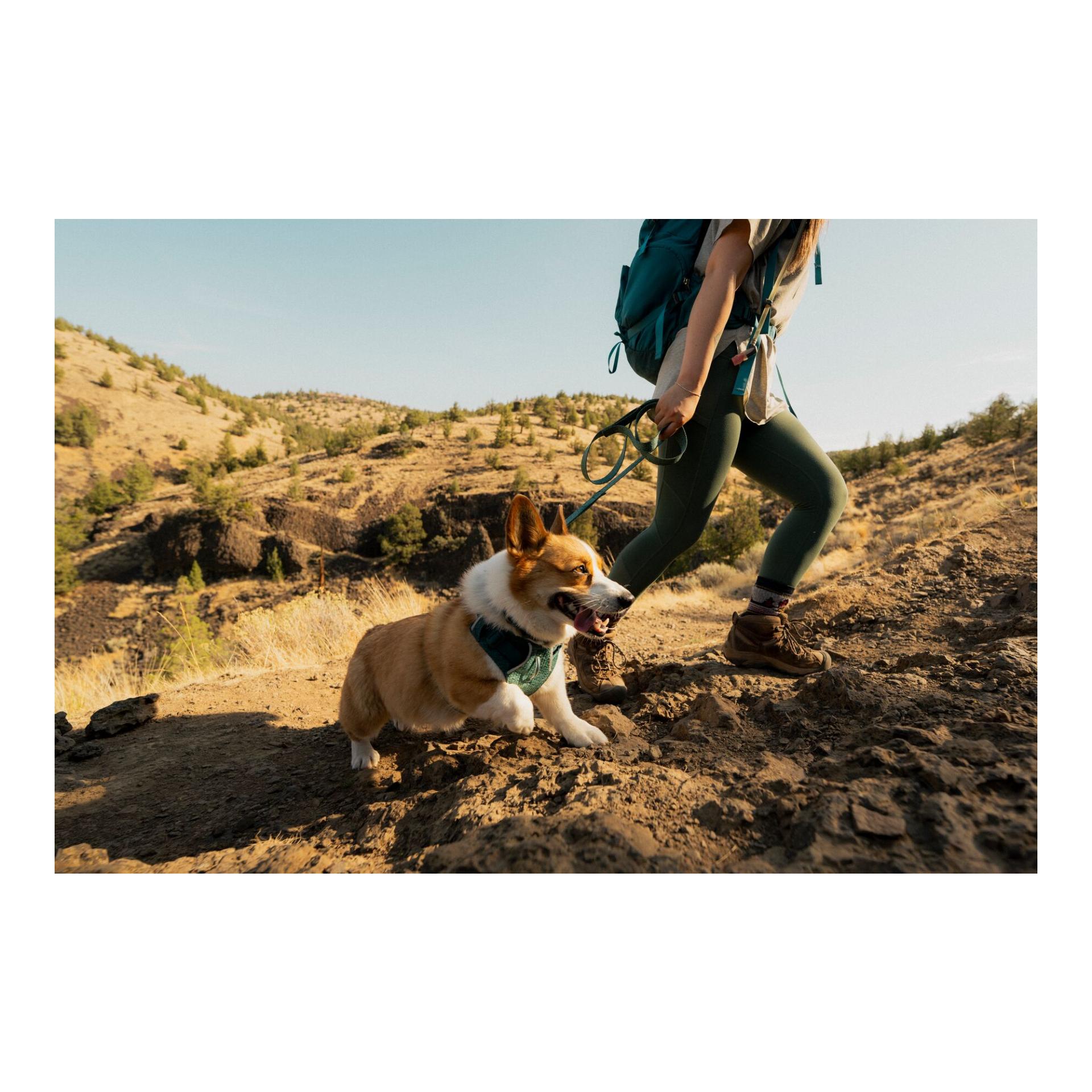 Ruffwear Front Range™ Flex Hundehalsband