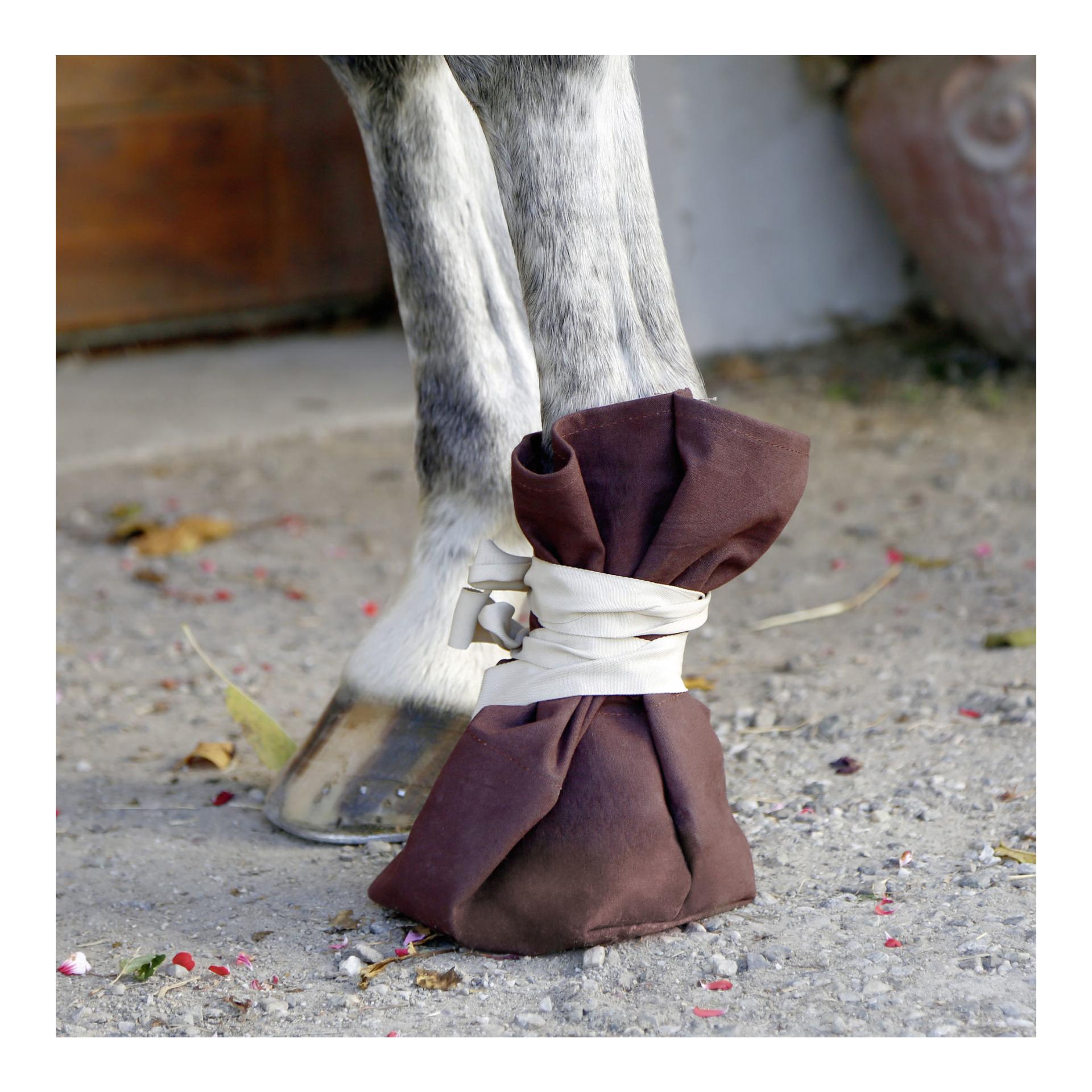 Behandlungsschuh für Hufe und Klauen