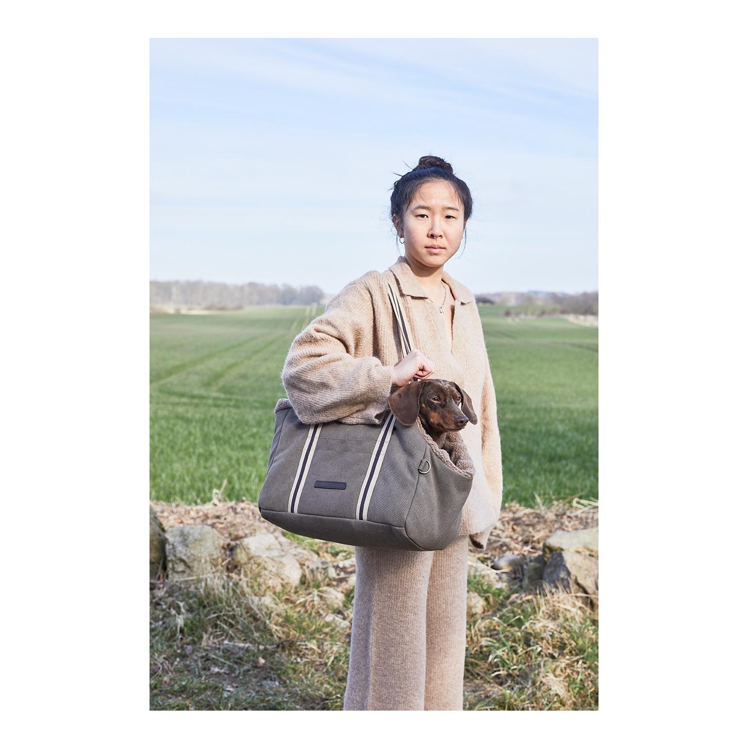 Sac de transport pour chien Lucca - sand