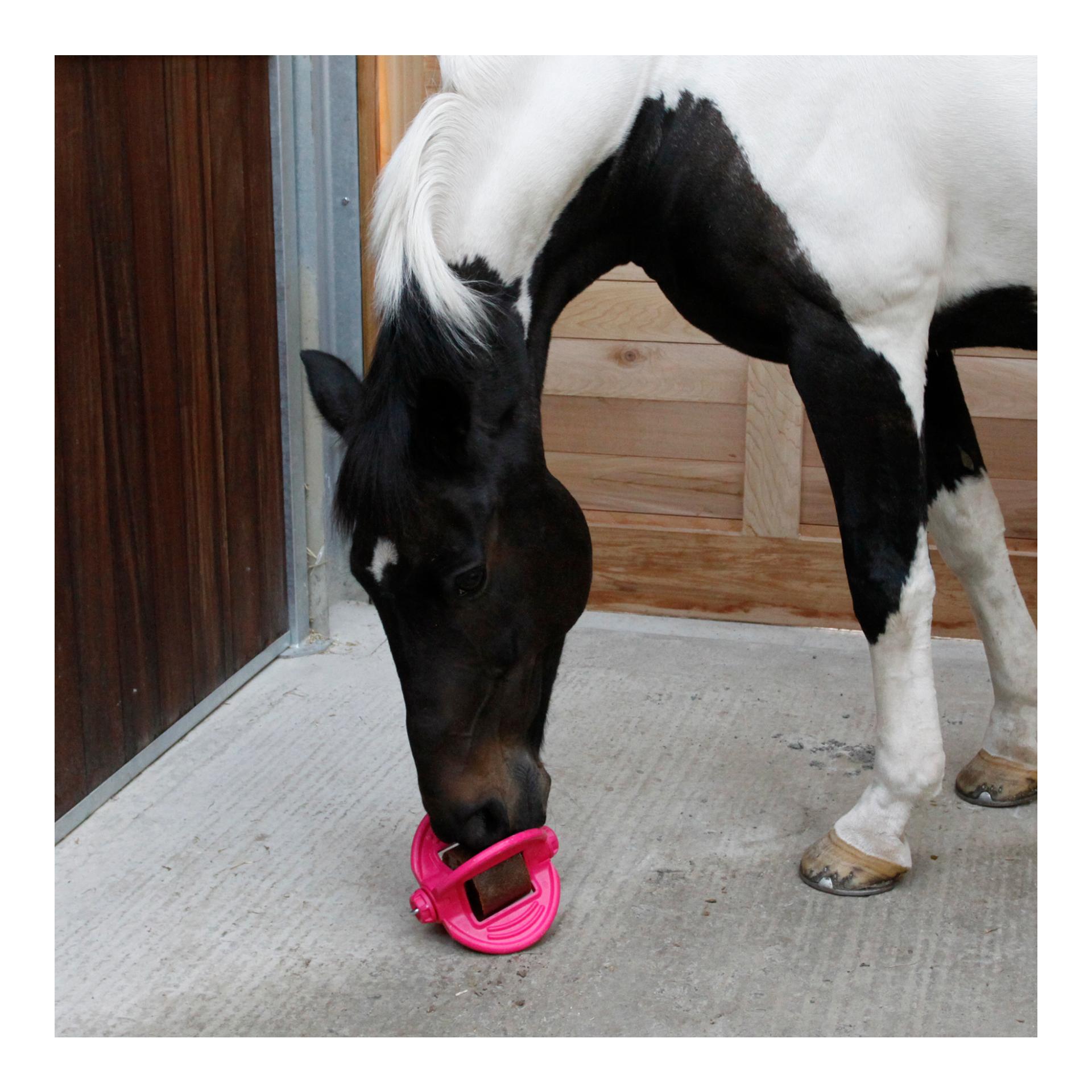 Bizzy Ball - aquamarin