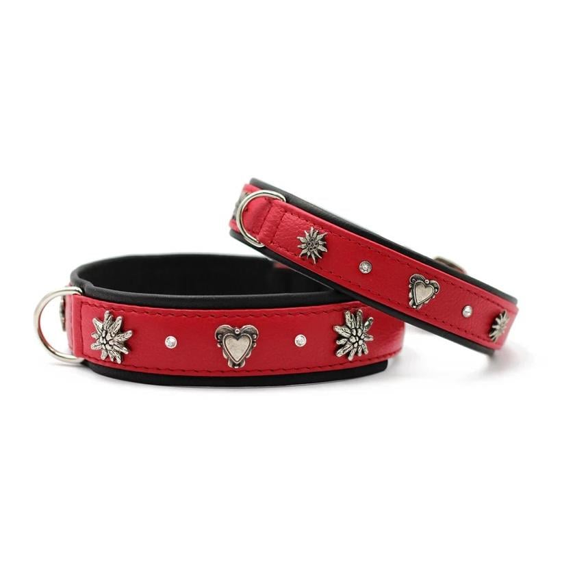 Hundehalsband Herzilein 