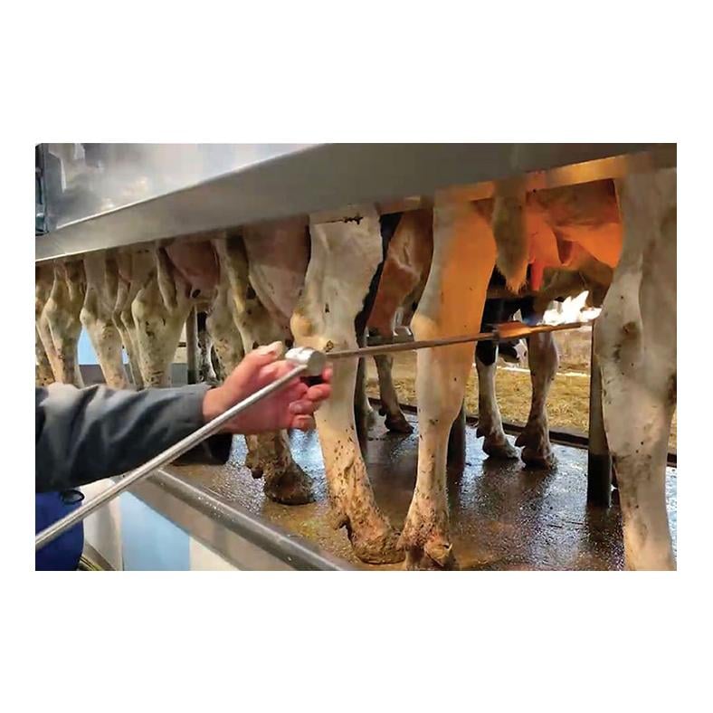 Euterhaarentferner DANA