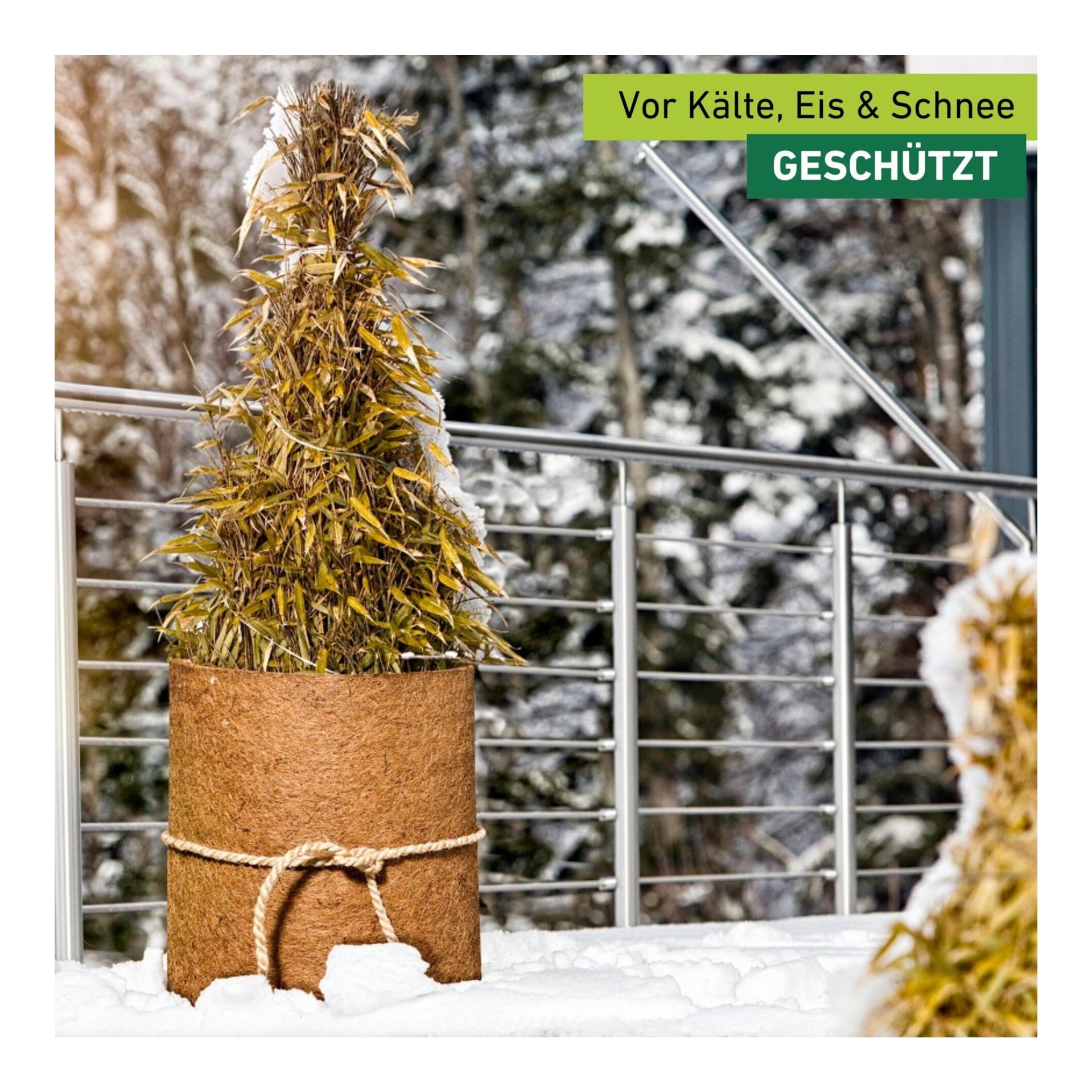 Kokos-Filzmatte Greenline