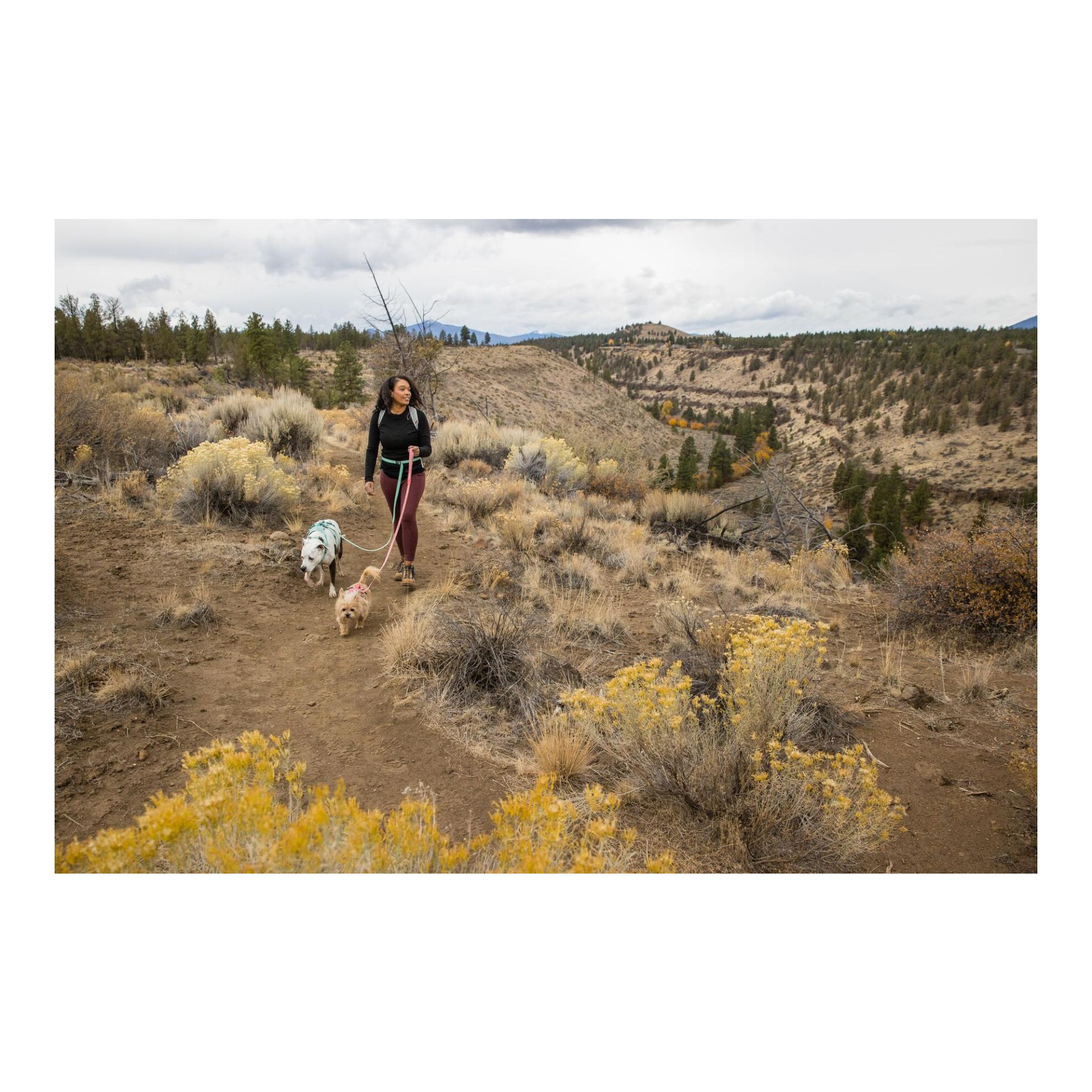 Ruffwear Harnais Flagline™