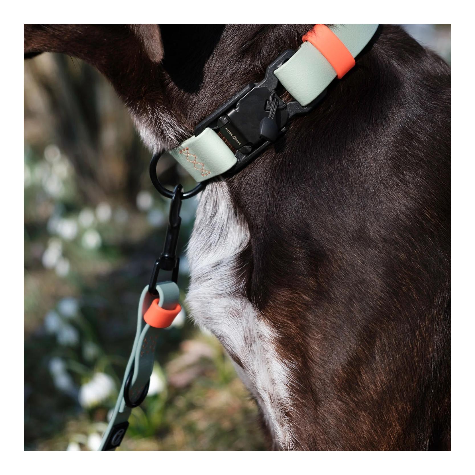 Cloud 7 Hundeleine verstellbar BioThane Ipanema