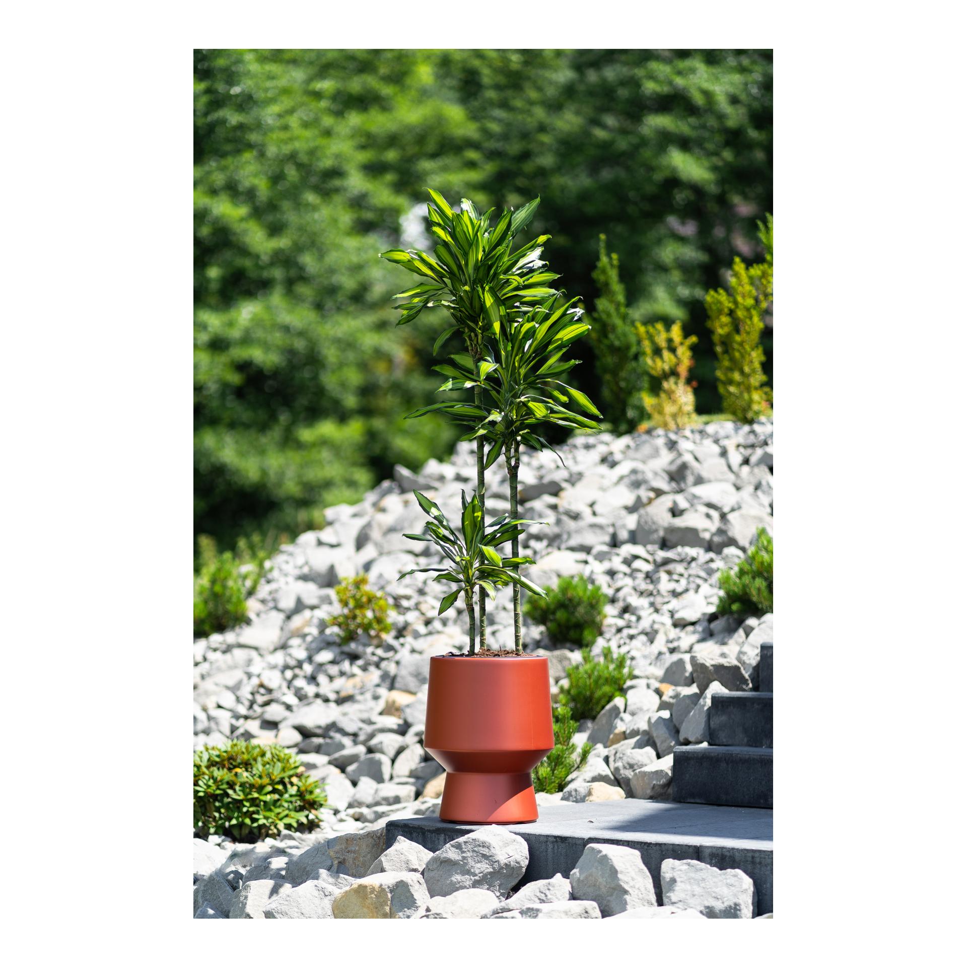 Blumentopf Heos - Sanduhr