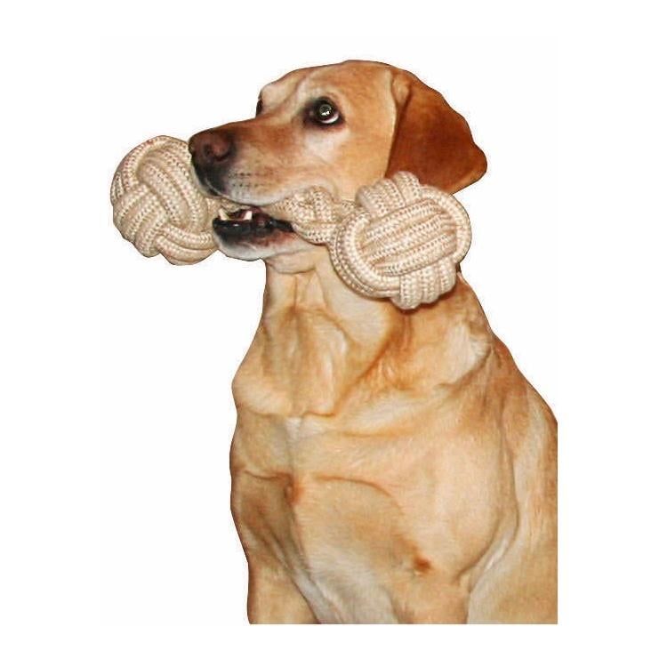 Haltère pour chiens XL