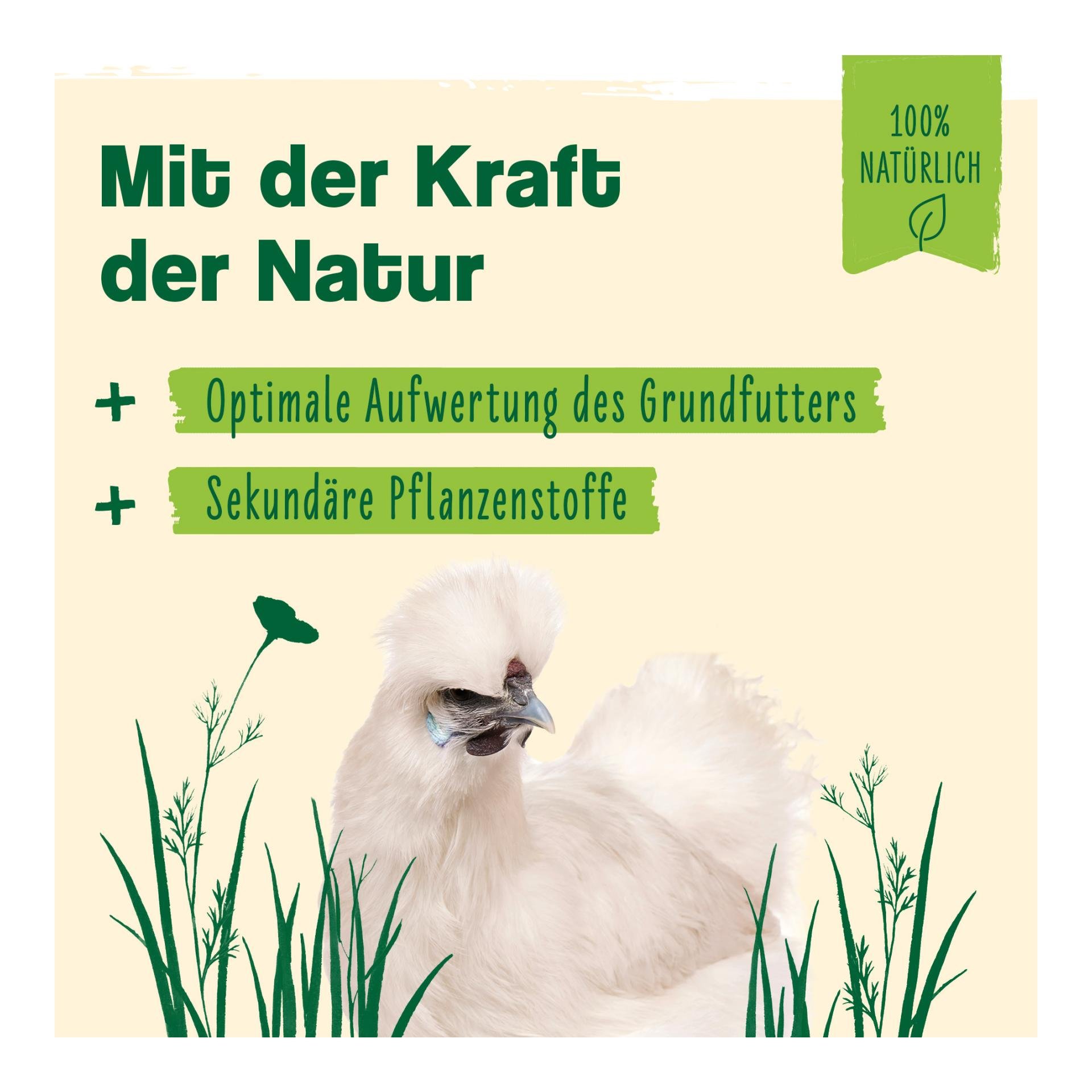 IdaPlus Herbes nobles pour poules - mélange de 19 herbes précieuses