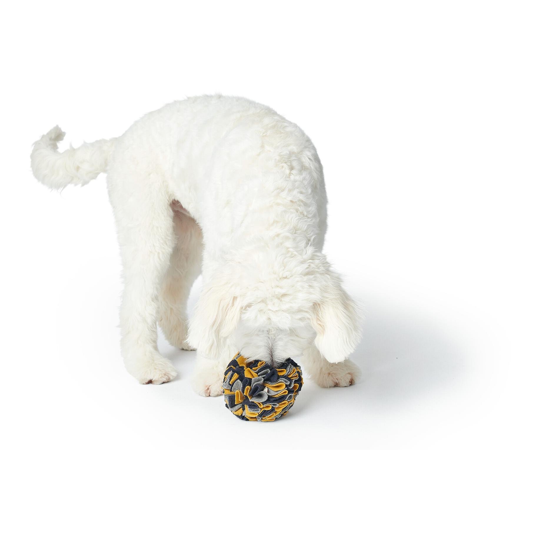 Schnüffelball Eiby