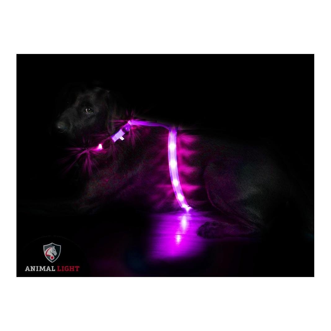 Image of Animal Light Leucht - Hundegeschirr "Ninja" - rosa/pink bei Hauptner.ch