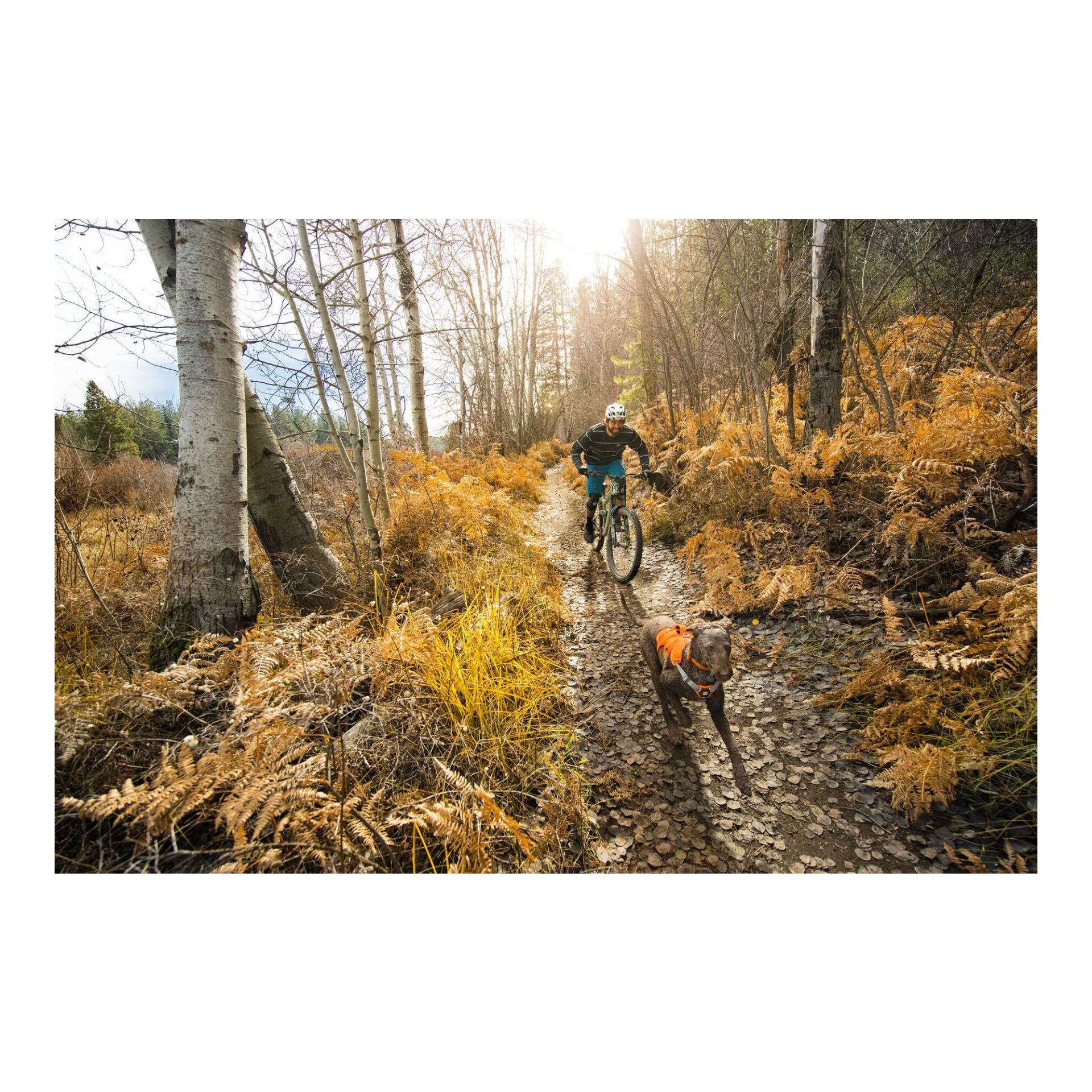 Web Master™ Geschirr