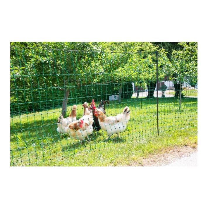 Geflügelnetz PoultryNet - Doppelspitz