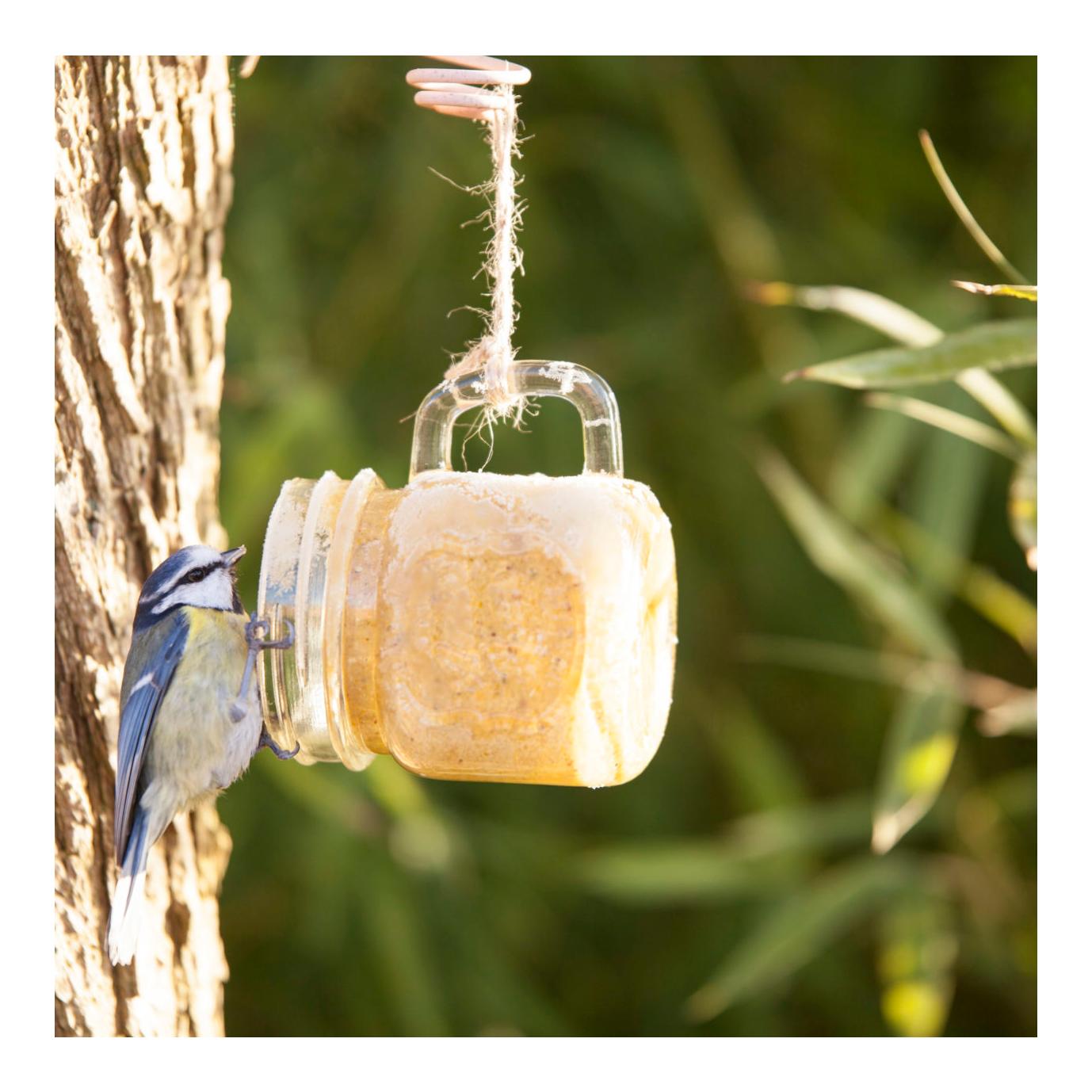 Vogelerdnussbutter Becherglas sort