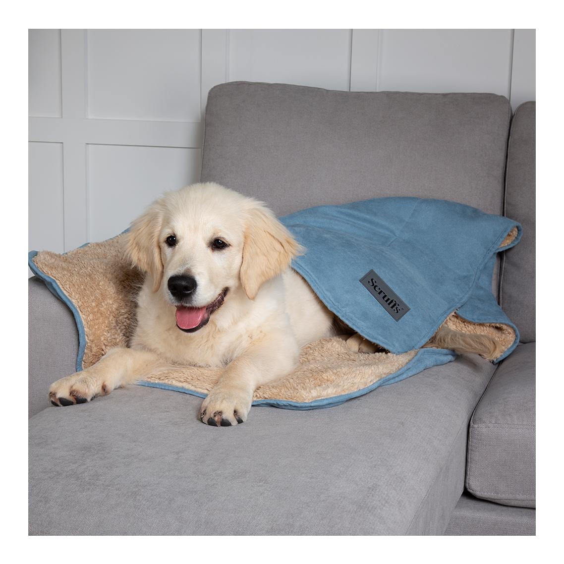 Kuscheldecke für Hunde