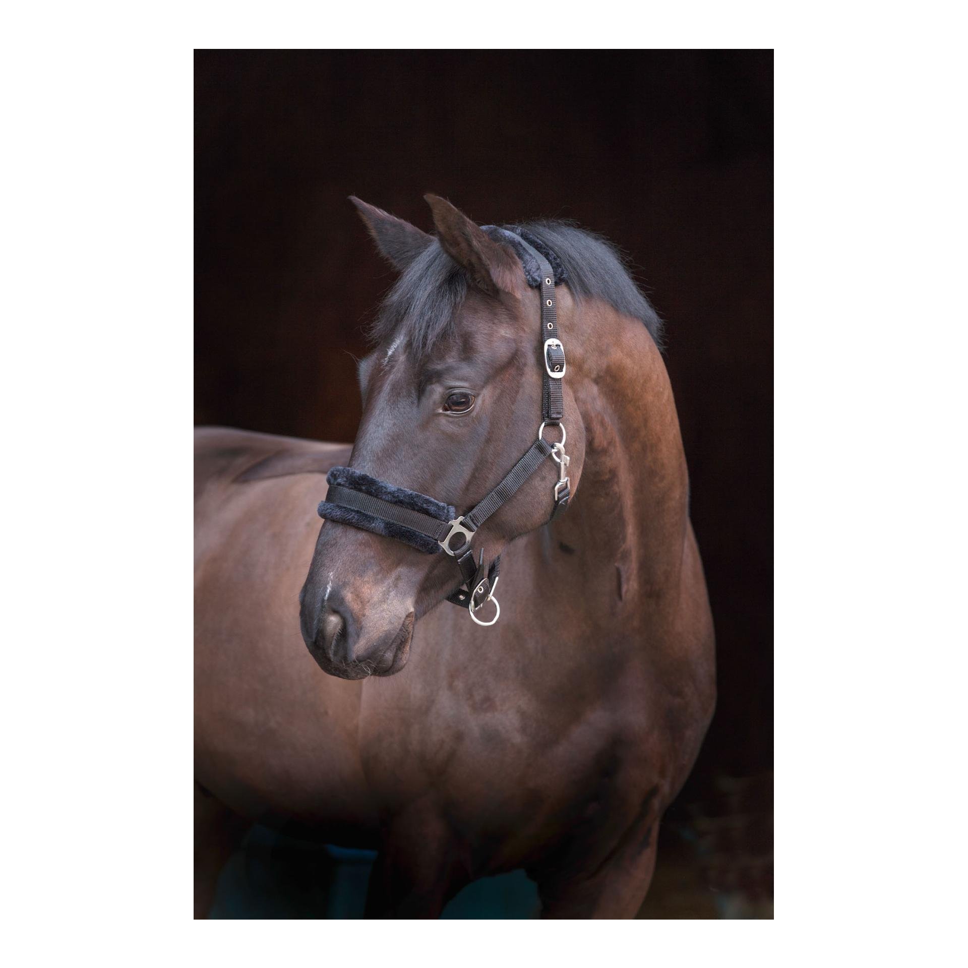 Image of Kerbl Halfter mit Webpelz - schwarz bei Hauptner.ch