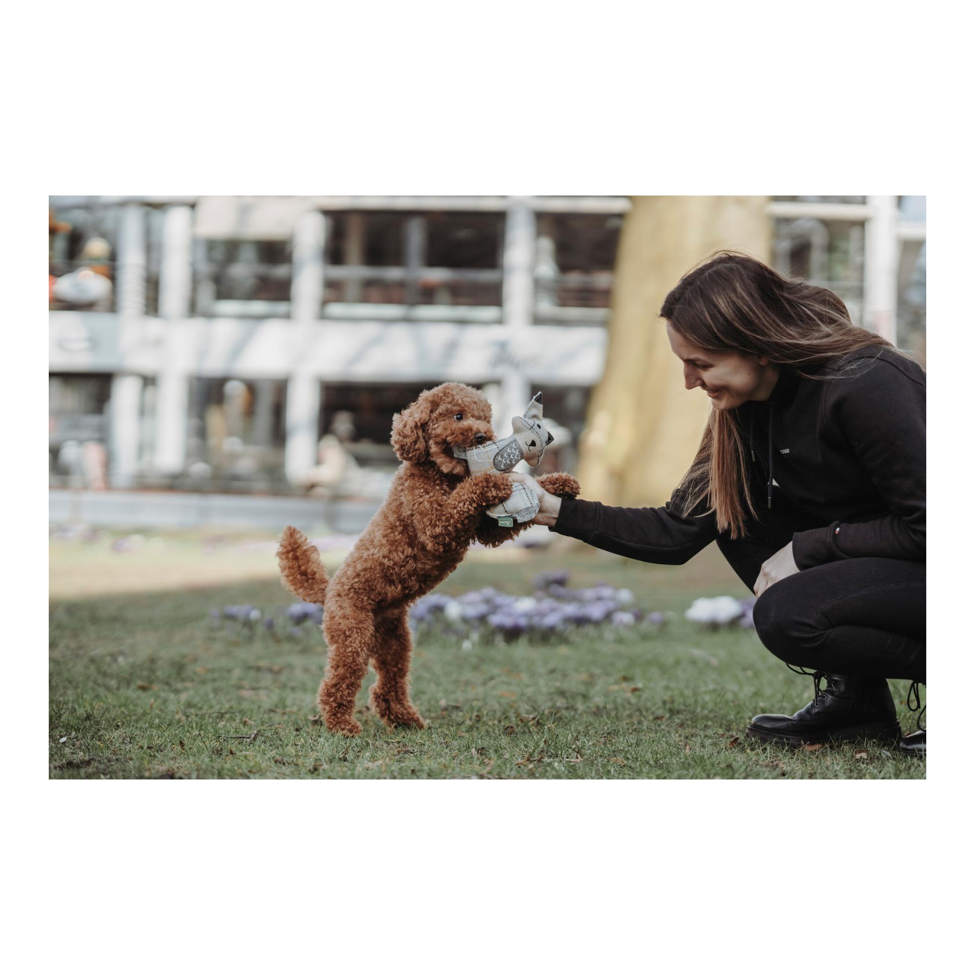 Hundespielzeug Billund Fuchs