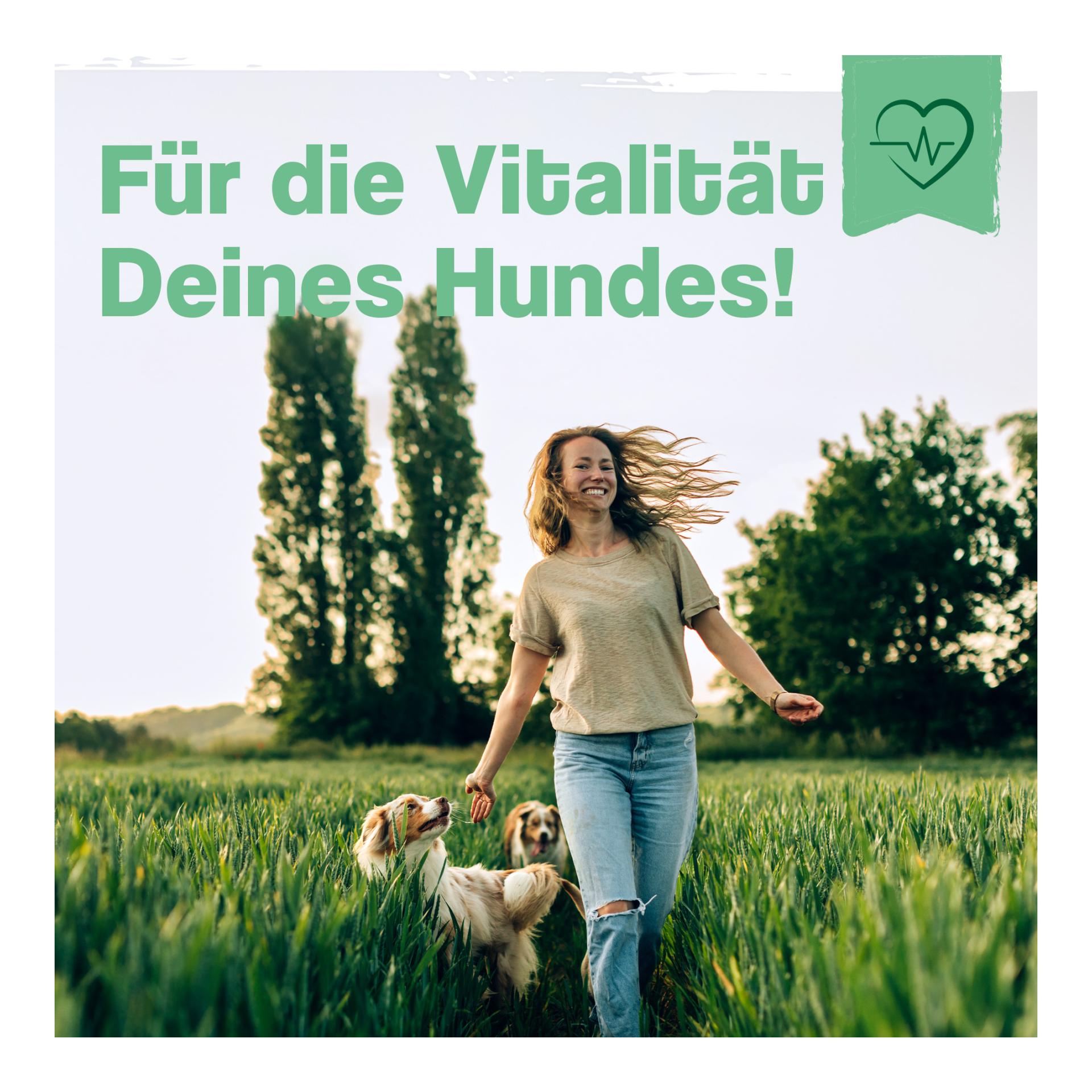 IdaPlus Barf Perfect