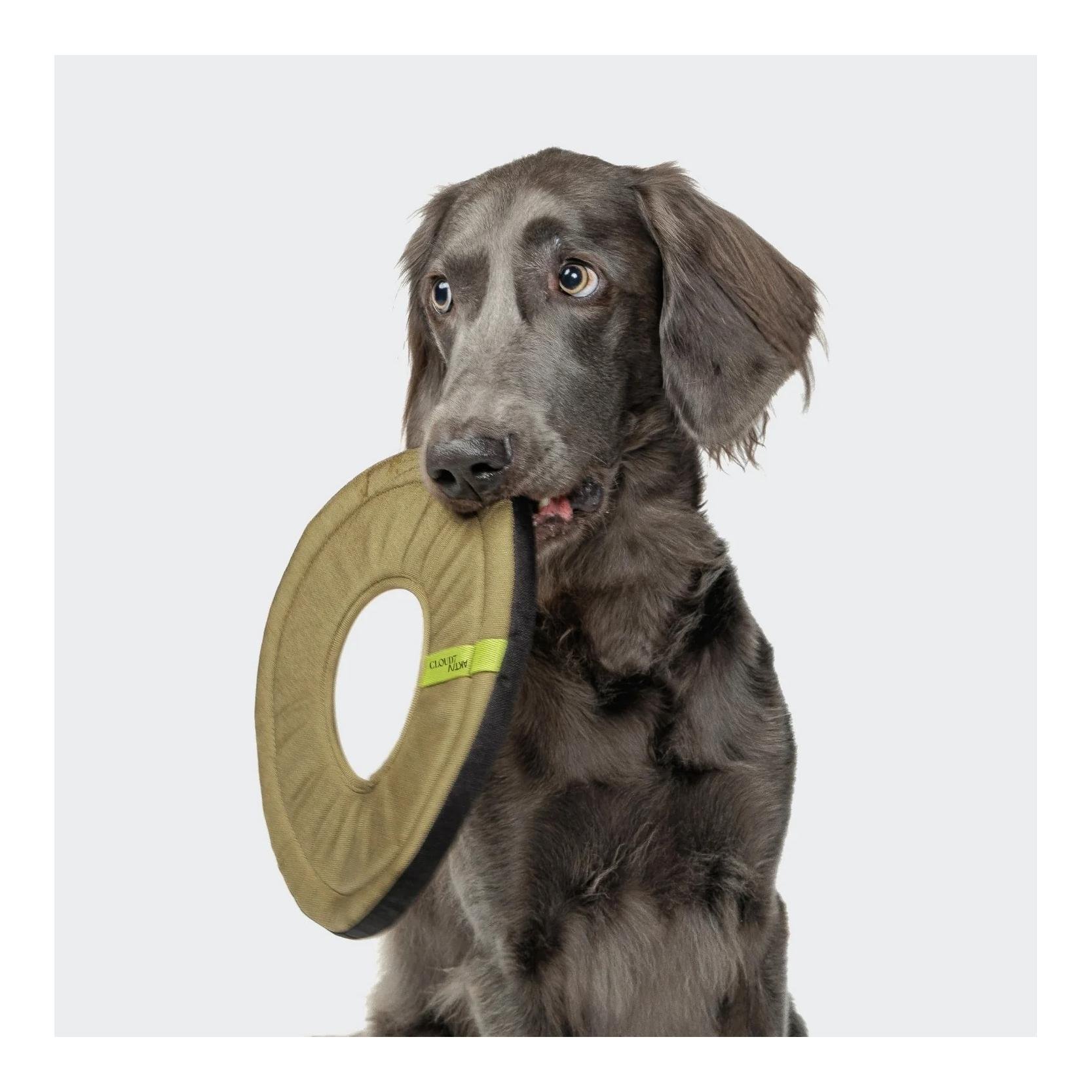 Hundespielzeug Frisbee AKTIV
