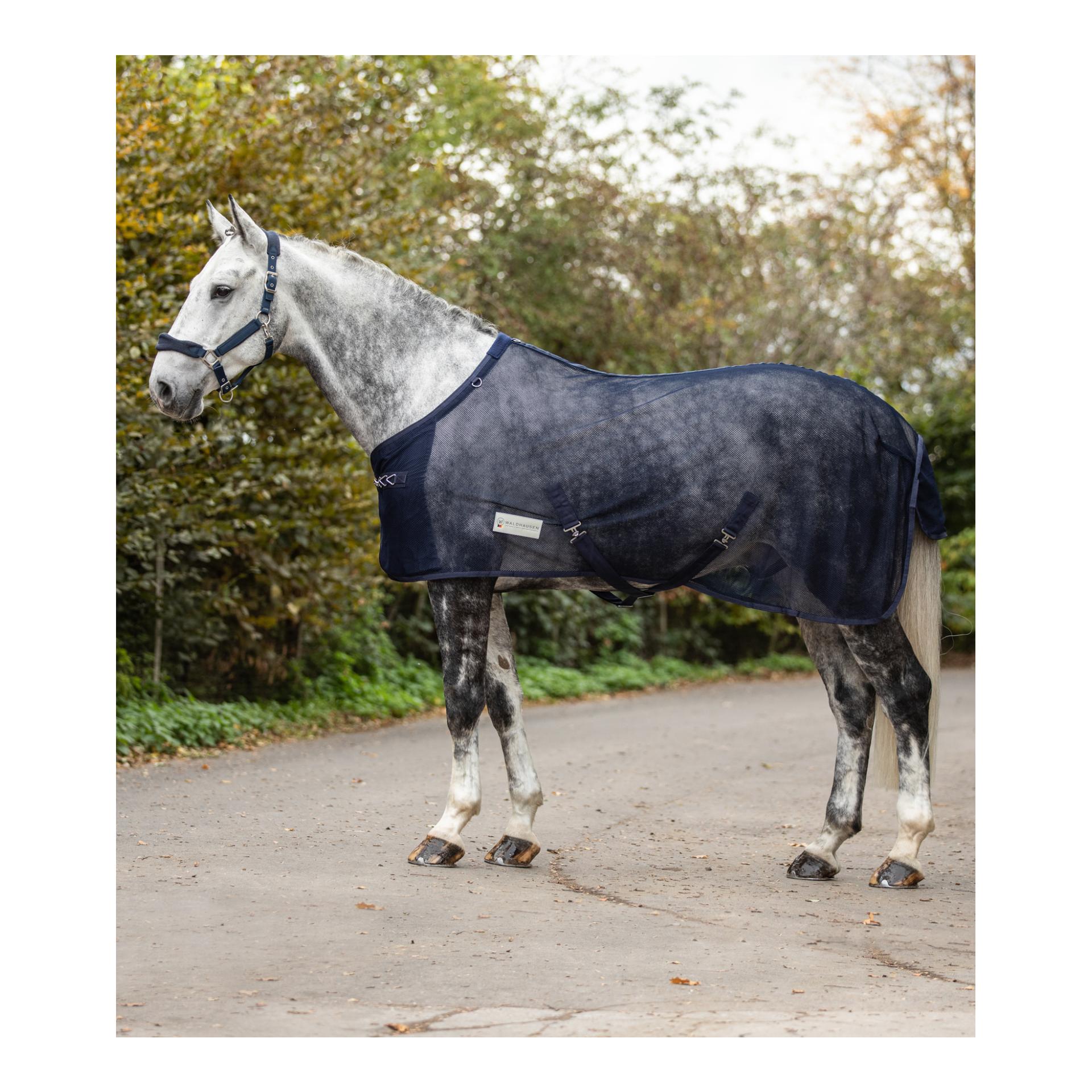 Fliegendecke Comfort mit Kreuzgurten